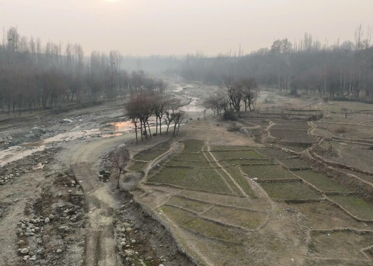 Kashmirin osavaltiohallitus on tänä vuonna kehottanut maanviljelijöitä lykkäämään kylvöä myöhemmäksi veden niukkuuden ja huonojen säiden vuoksi.