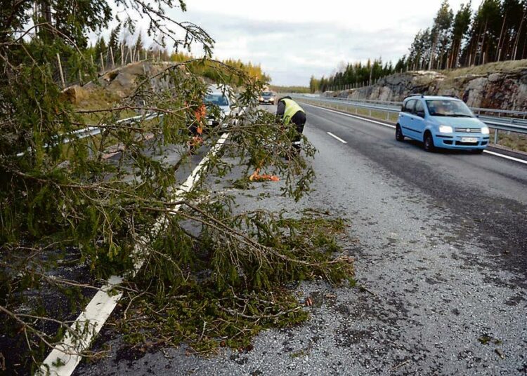 Tapaninpäivän myrsky kaatoi puun Turku–Helsinki-moottoritielle liito-oravistaan tunnetussa Kruusilassa.