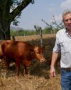 Kiertolaiduntaminen on avainasemassa karjankasvattaja Manuel Alfonso Aguilarin tilalla. Aguilar jakaa laitumensa osiin ja siirtää lehmiään säännöllisesti niiden välillä.