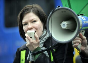 Puheenjohtaja Anni Sinnemäen mukaan hallituksen luonnonsuojeluun ja ympäristöpolitiikkaan liittyvät päätökset ovat syöneet vihreiden uskottavuutta.