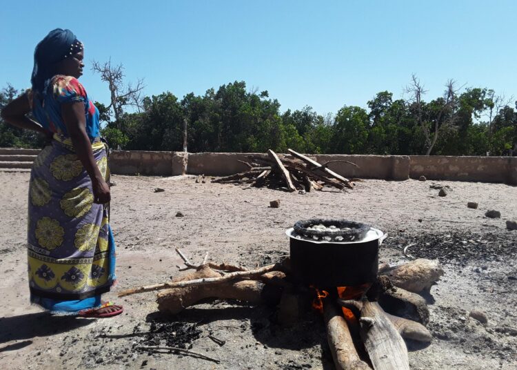 Afrikassa polttopuun keräily vie naisilta ja tytöiltä keskimäärin yli kaksi tuntia joka päivä.