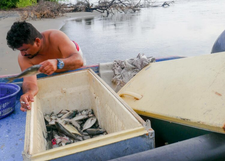 Kalastaja Carlos Hernández laskee päivän saalista El Icacalin rannalla. Matkailuhankkeista kiinnostunut kiinteistöyhtiö uhkaa häätää paikalliset perheet tonteiltaan.