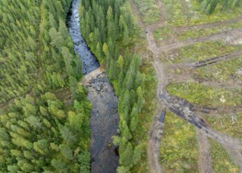 Metsien suojelu toisi rahaa. Kuva on Suomussalmen Hukkajoelta, jollahavaittiin laaja raakkutuho kaksi viikkoa sitten