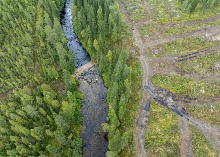 Metsien suojelu toisi rahaa. Kuva on Suomussalmen Hukkajoelta, jollahavaittiin laaja raakkutuho kaksi viikkoa sitten