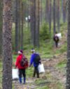 Mai Kivelä korostaa, että metsällä on itseisarvo.