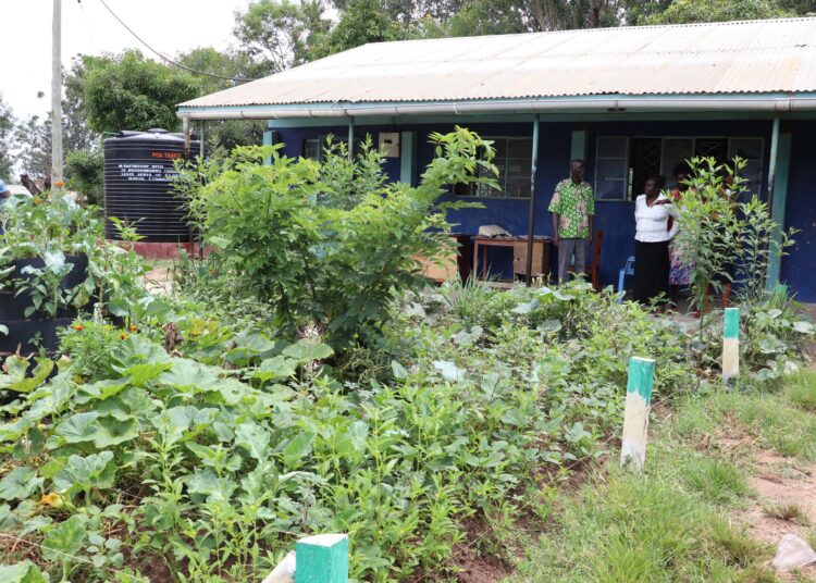 Kenialaisen St Denis Libolinan fyysisesti vammaisten alakoulun kaikilla luokilla on oma puutarhapalstansa, jonka hoidossa koululaiset kilpailevat samalla, kun oppivat agroekologisia viljelykäytäntöjä. Lasten aikaansaama ruokametsä antaa ravintoa niin koululaisille kuin opettajillekin.