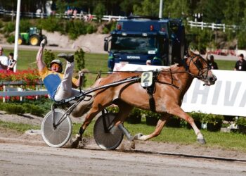 Vielä viime vuonna kuningatarkisassa mukana ollut I.P. Vipotiina on siirtynyt siitokseen. Pertti Puikkonen sai useammankin kerran tuulettaa tamman voittoa.